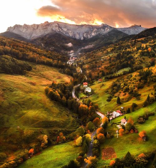 294916925_387999886654311_2742058676734189948_n