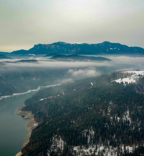 52350910_2067946879959019_305405108554825728_n