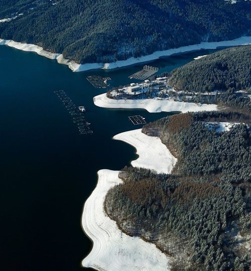 52793011_2083004878453219_9054112658529189888_n