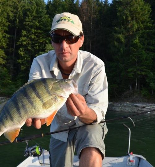 tehnica-pescuit-la-biban-plomb-palette